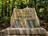 白滨出发・熊野古道徒步一日包车｜泷尻王子～高原熊野神社约4km｜白滨往返