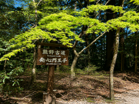 发心门王子出发・熊野古道徒步一日包车｜发心门王子～熊野本宫大社约7km