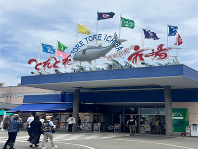 关西机场接机＋白滨一日包车｜千叠敷・三段壁・白良滨｜私人专车