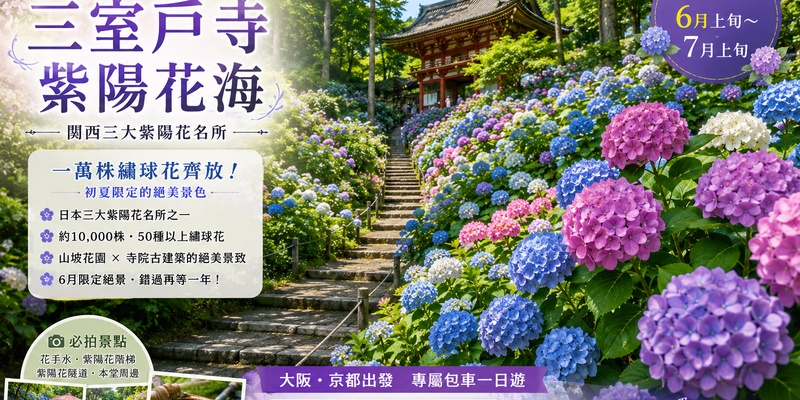 初夏限定｜宇治紫陽花海與抹茶香一日遊｜大阪/京都出發 Early Summer Limited Day Tour｜Depart from Osaka or Kyoto
